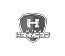 haryana hammers