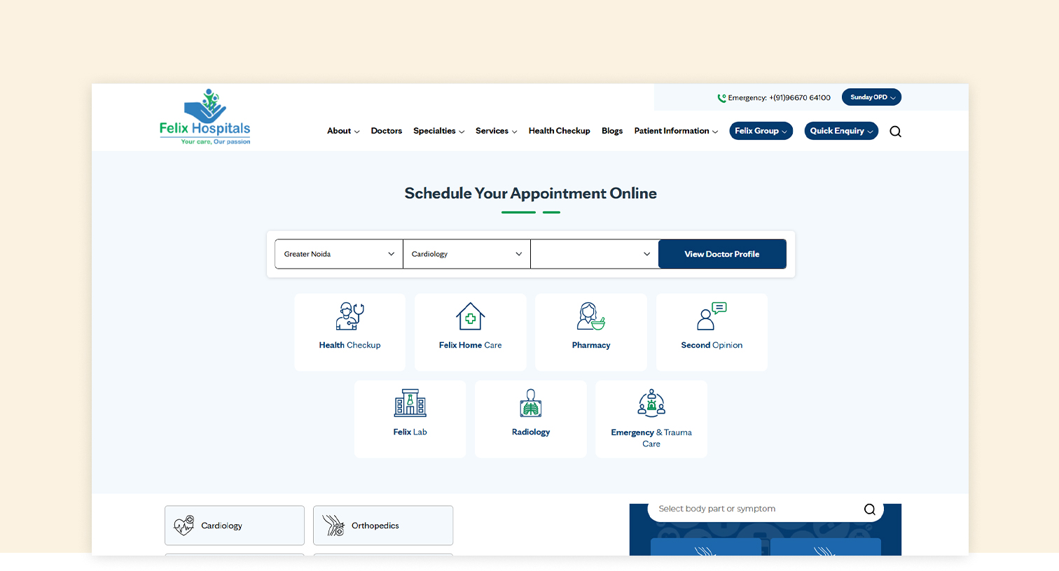 Felix Healthcare Pvt Ltd