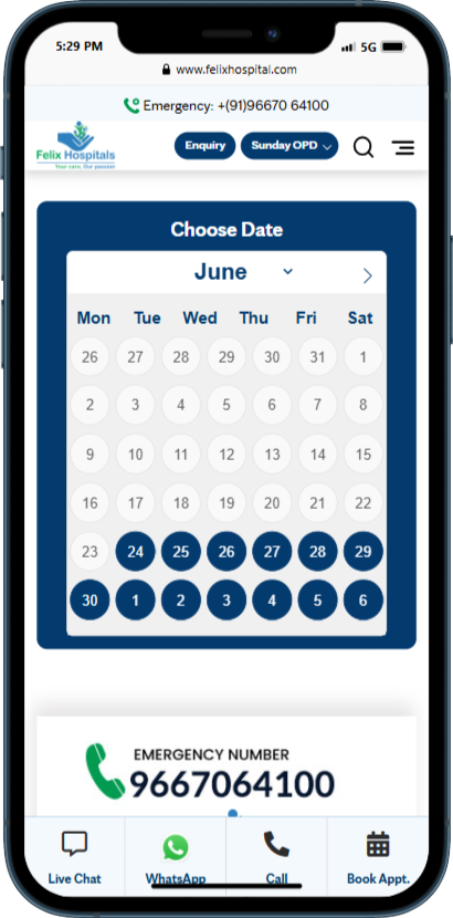 Felix Healthcare Pvt Ltd