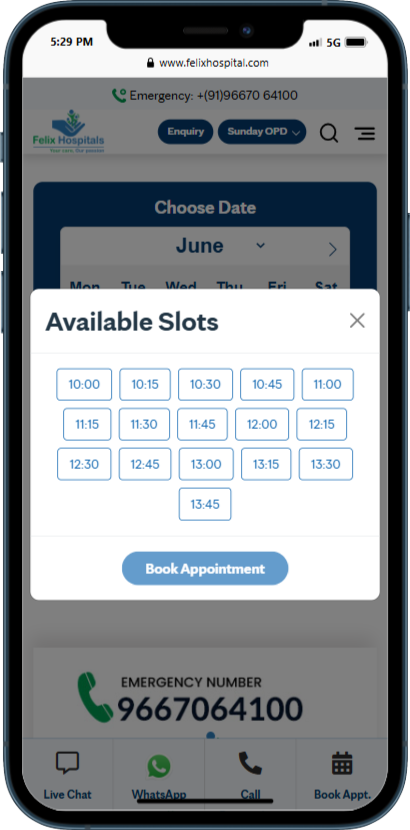 Felix Healthcare Pvt Ltd